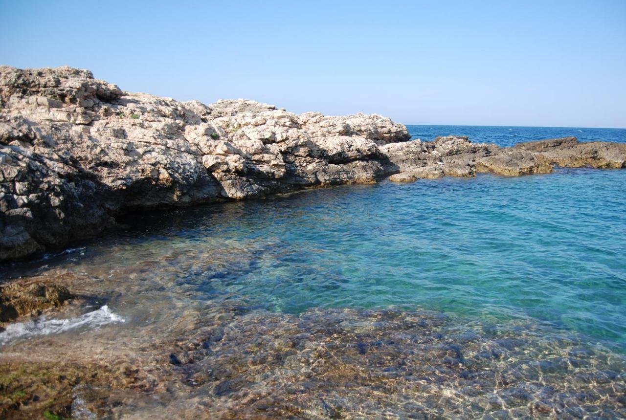 Eagle'S Nest Villa Polignano a Mare Exterior photo